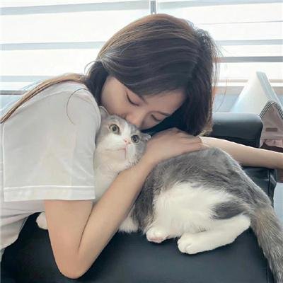 影子军队