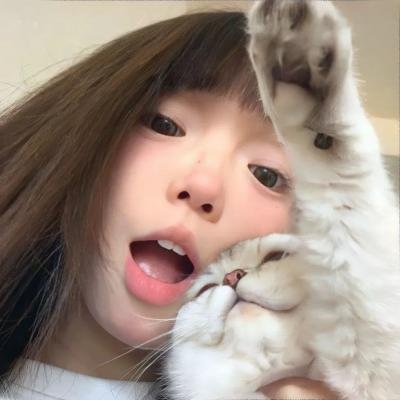 宠物情劫