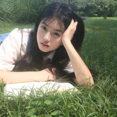 鲨人树儿