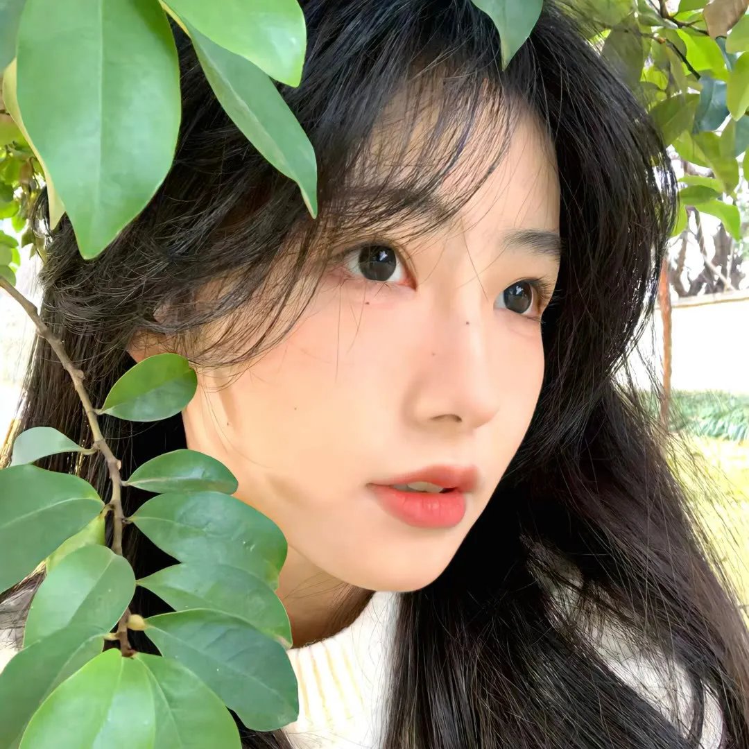 无回应的24号山